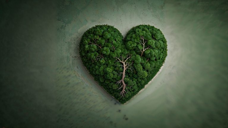 Liver Heart Relationship